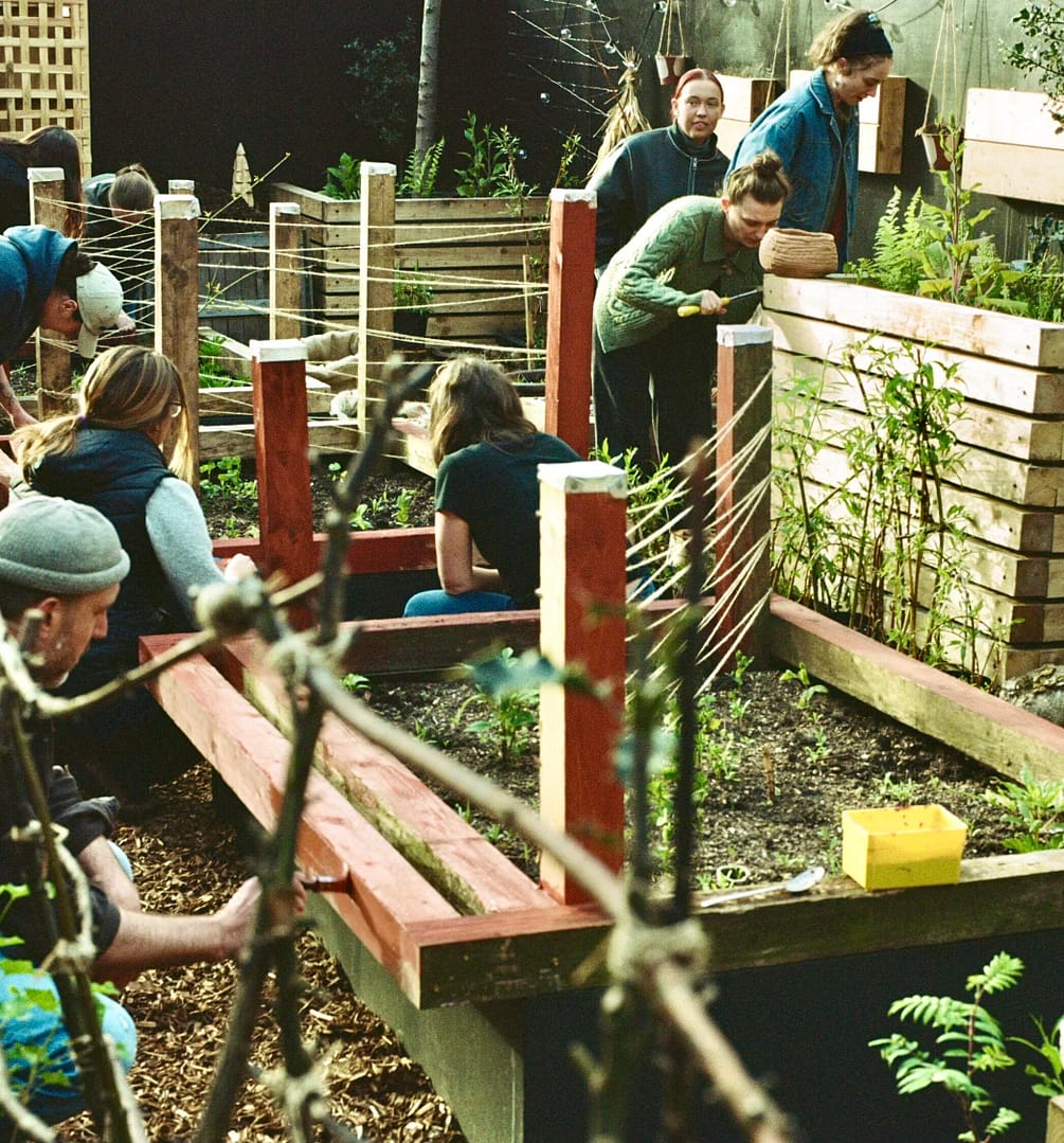 From Car park to Community Garden - NOMA